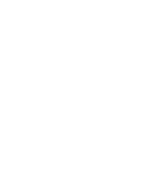 Leonardo Marble